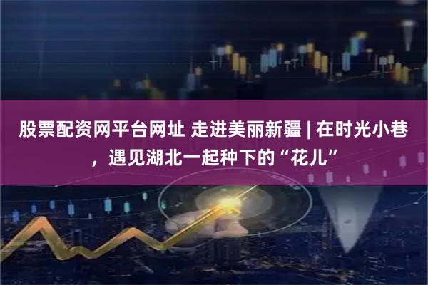 股票配资网平台网址 走进美丽新疆 | 在时光小巷，遇见湖北一起种下的“花儿”