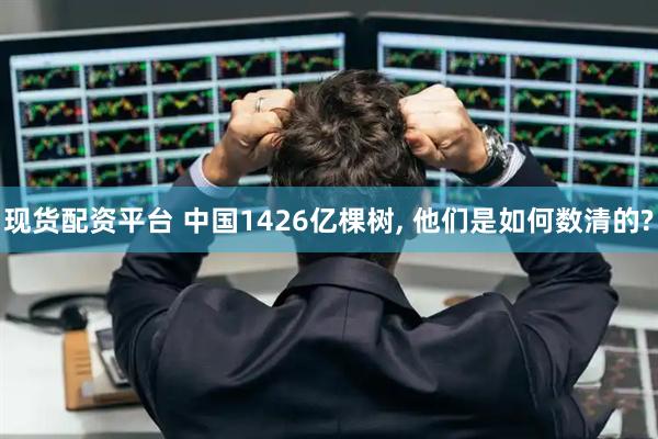 现货配资平台 中国1426亿棵树, 他们是如何数清的?