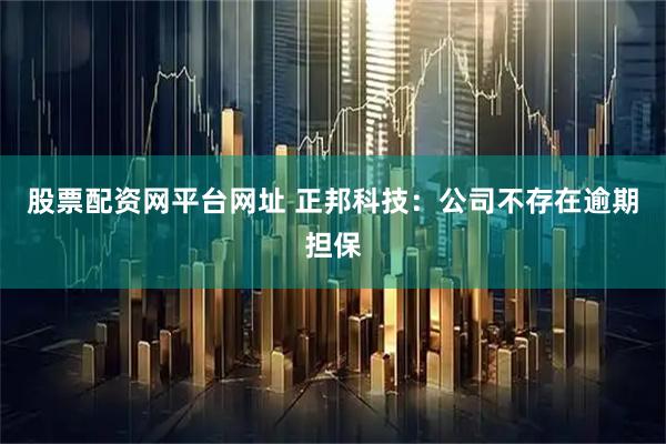股票配资网平台网址 正邦科技：公司不存在逾期担保